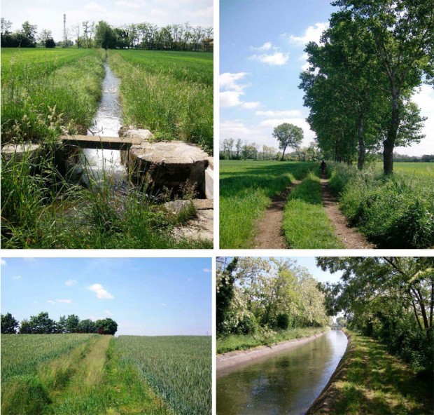 Parco del Molgora