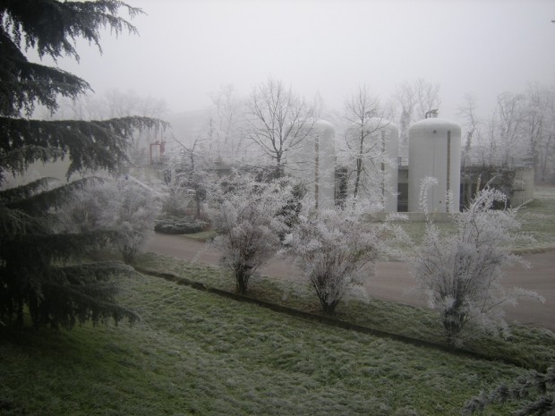 Le aree verdi