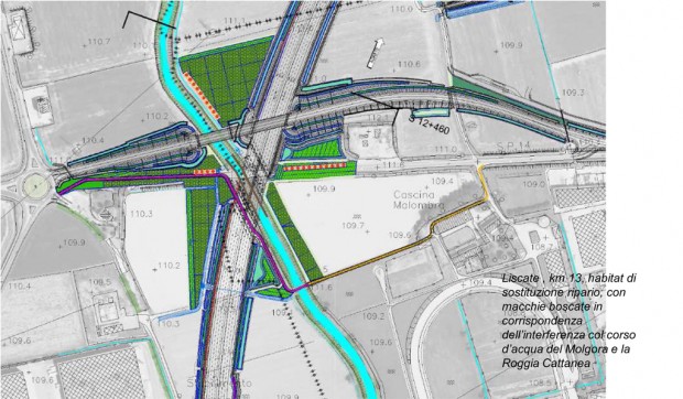 Le azioni mitigative: ricomposizione ambiente biotico