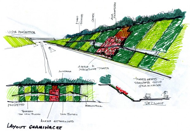 Schizzo di progetto trincea con graminacee