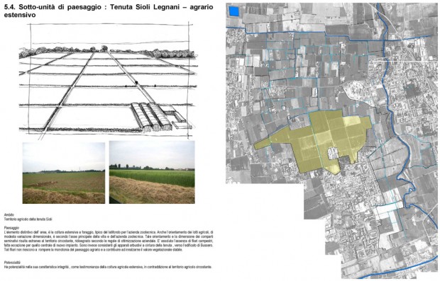 Sottounità di paesaggio, Tenuta Sioli Legnani - agrario estensivo