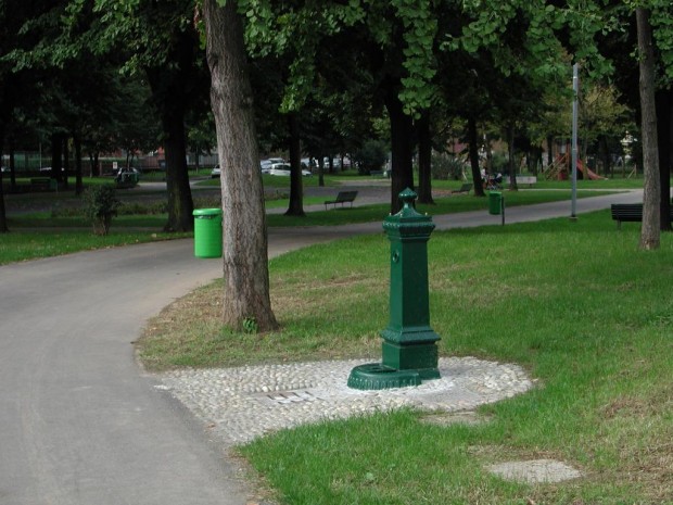 Fontanelle