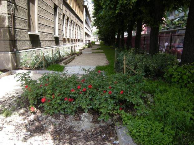 2008 Plesso Martiri della Libertà. Aiuola