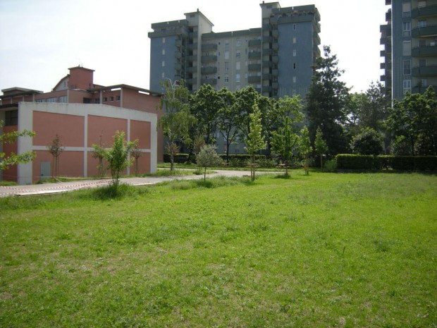 2008 Scuola elementare Pascoli. Prato principale