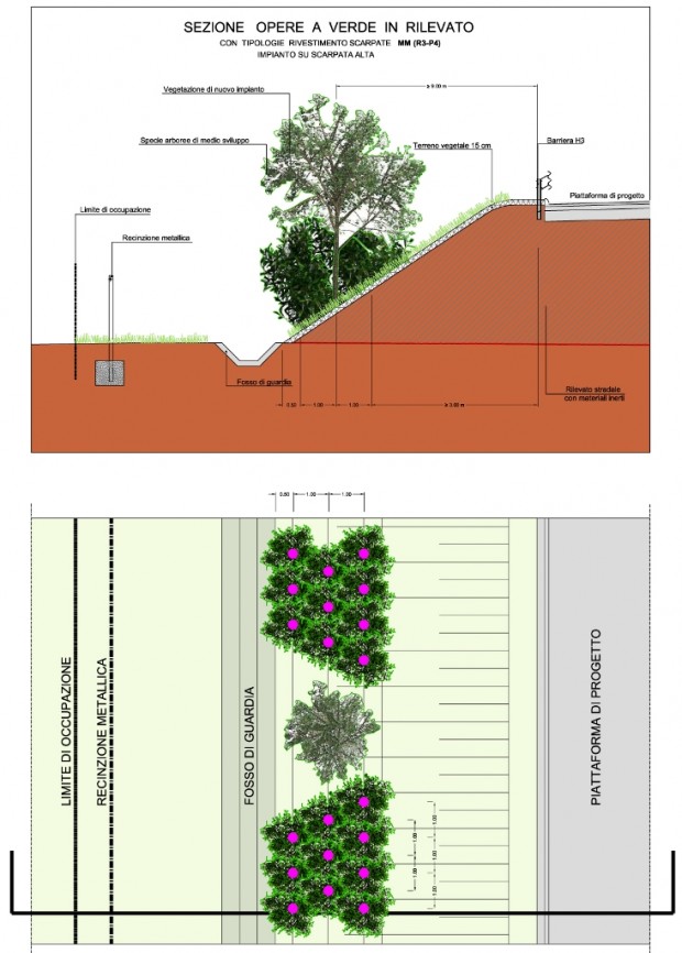 Sezione degli alberi e degli arbusti messi a dimora sulle scarpate alte del rilevato stradale