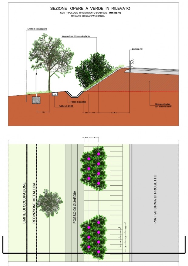 Dettaglio planimetrico e sezione della vegetazione di nuovo impianto sulle scarpate basse del rilevato stradale