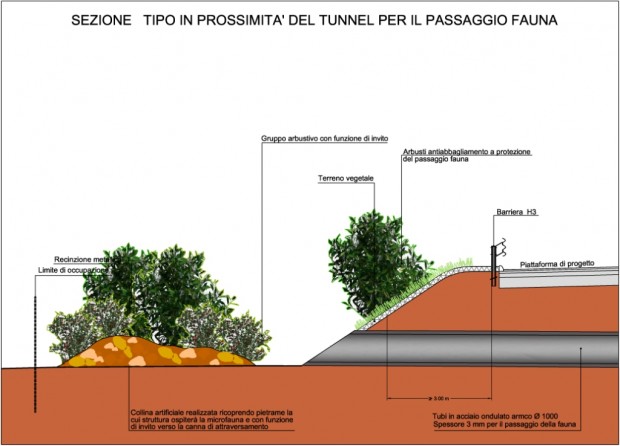 Dettaglio in sezione del passaggio fauna