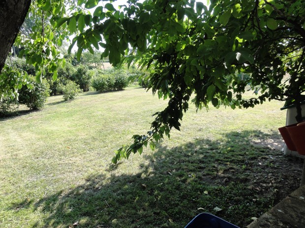 6giardino