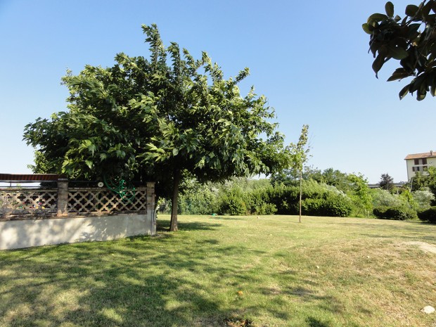7giardino