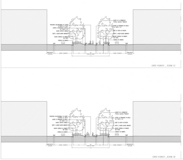 Sezioni di progetto, corso Plebisciti